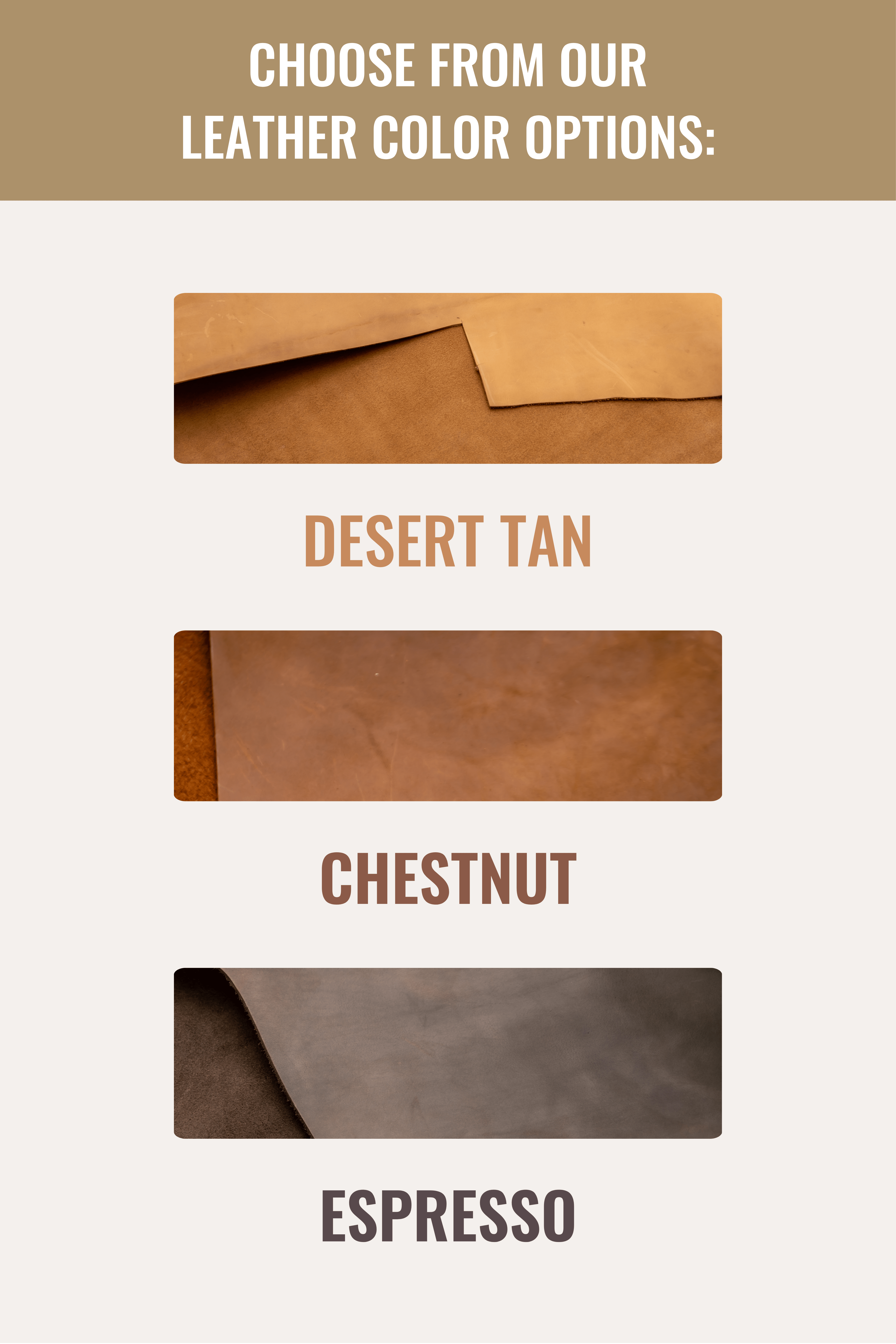 Safari Wallet - All - N - 1