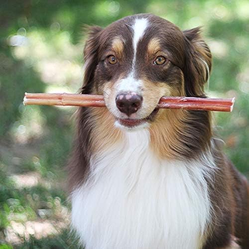 100% Natural Brazilian Bully Sticks - 1 lb Bag 10.00% Off Auto renew - All - N - 1