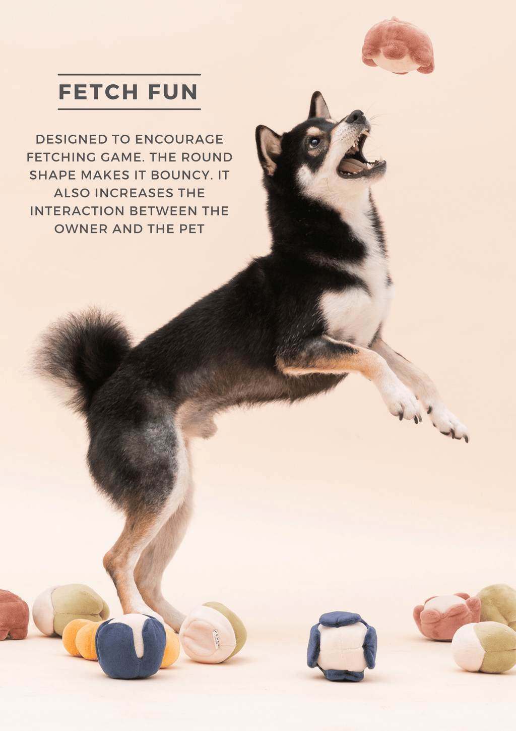 PARADISE PET TOY - CUCURBITA - All - N - 1