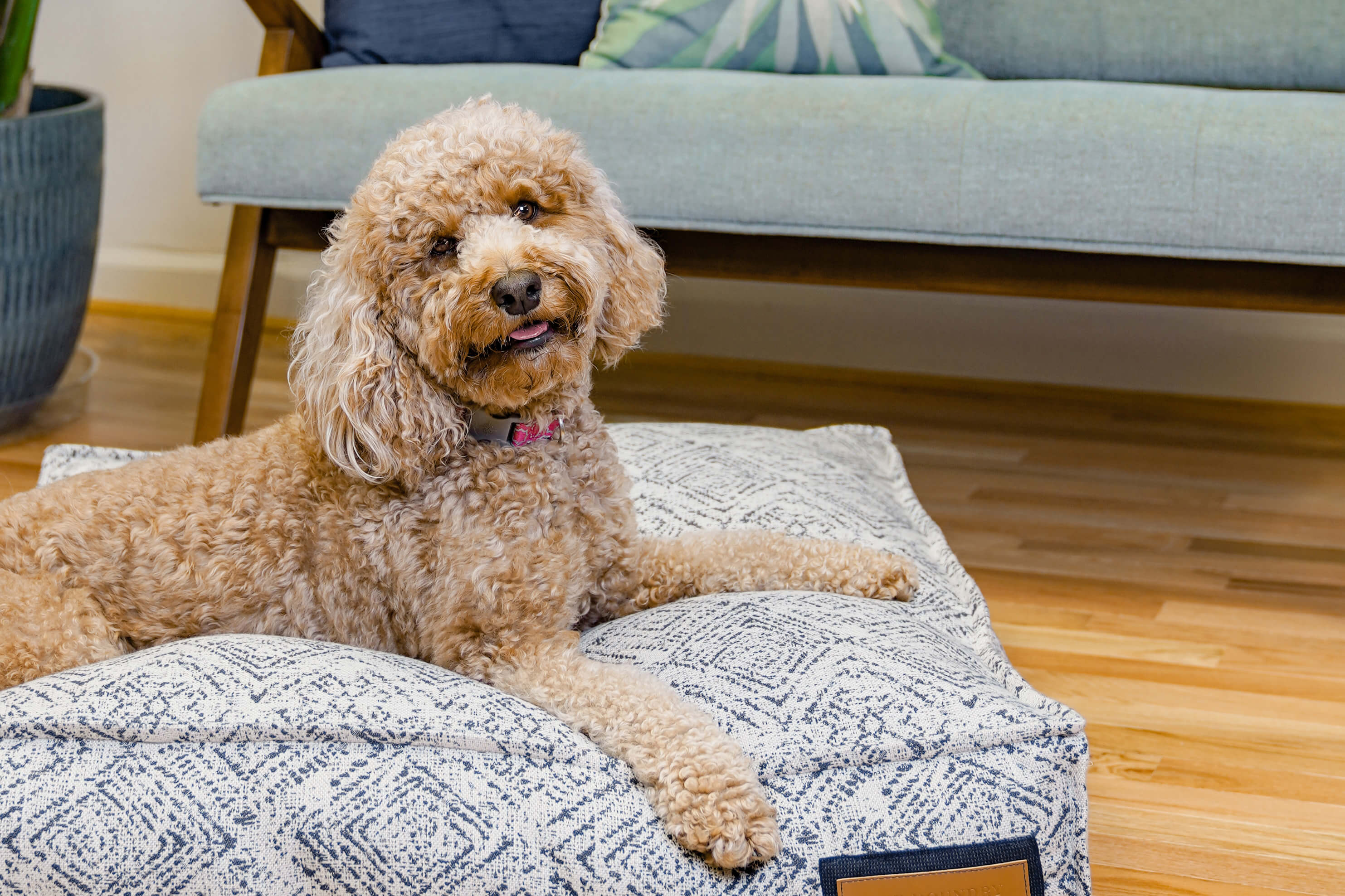 Lounger Pet Bed in Sapphire Spaniel - All - N - 1