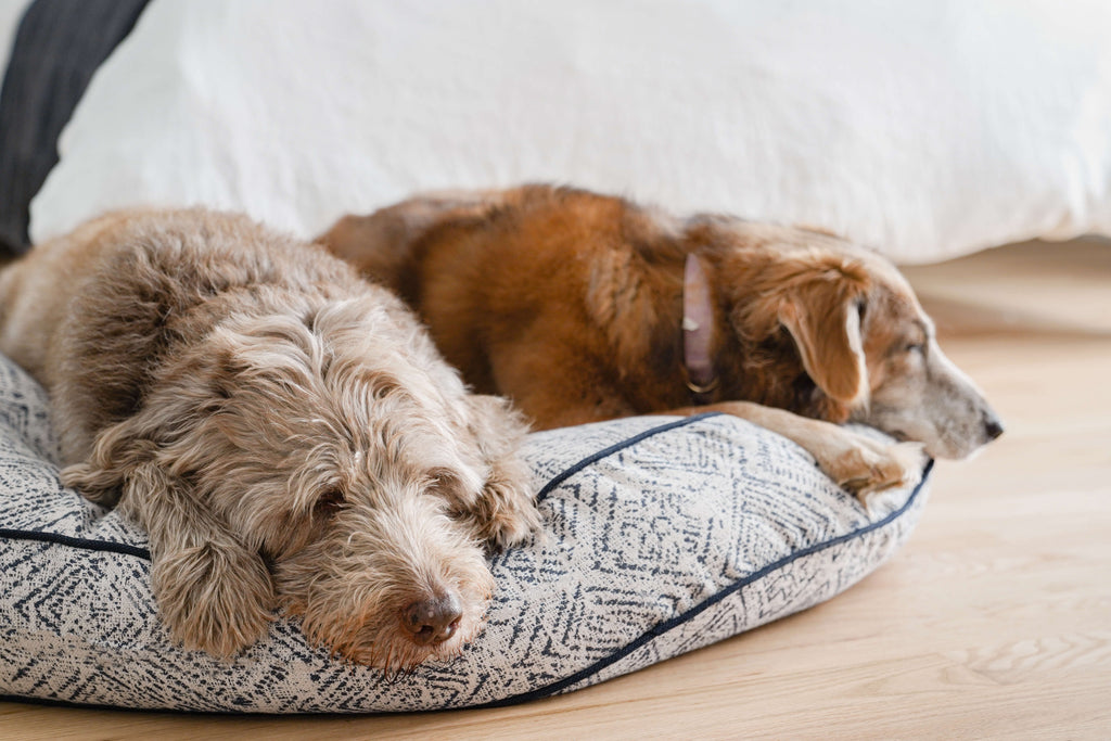 Round Pet Bed in Sapphire Spaniel - All - N - 1